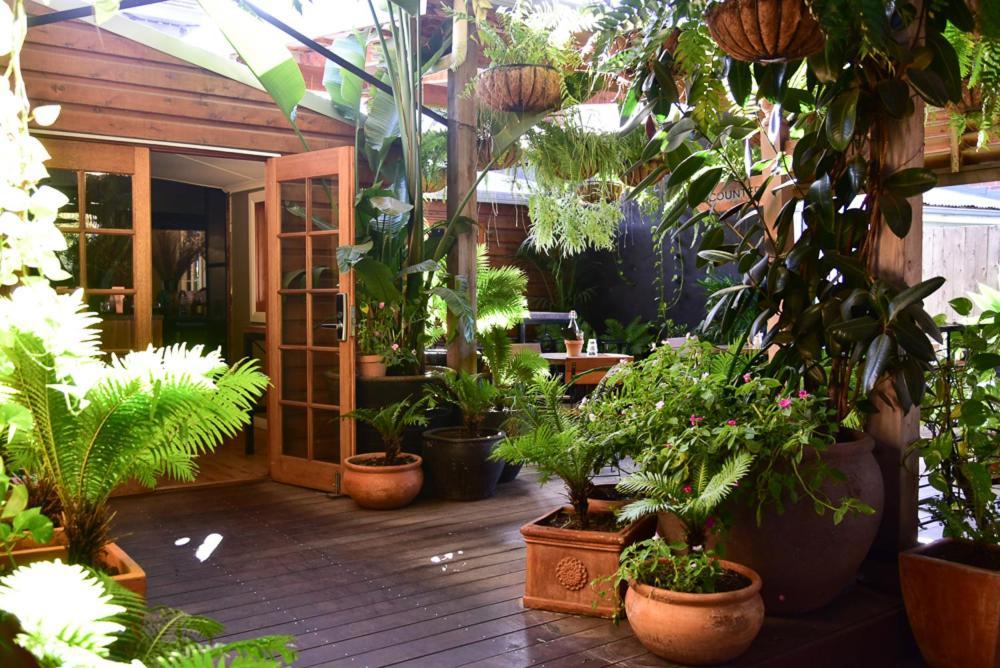 Macleay Cottage With Plunge Pool And Local Arts ダボ エクステリア 写真